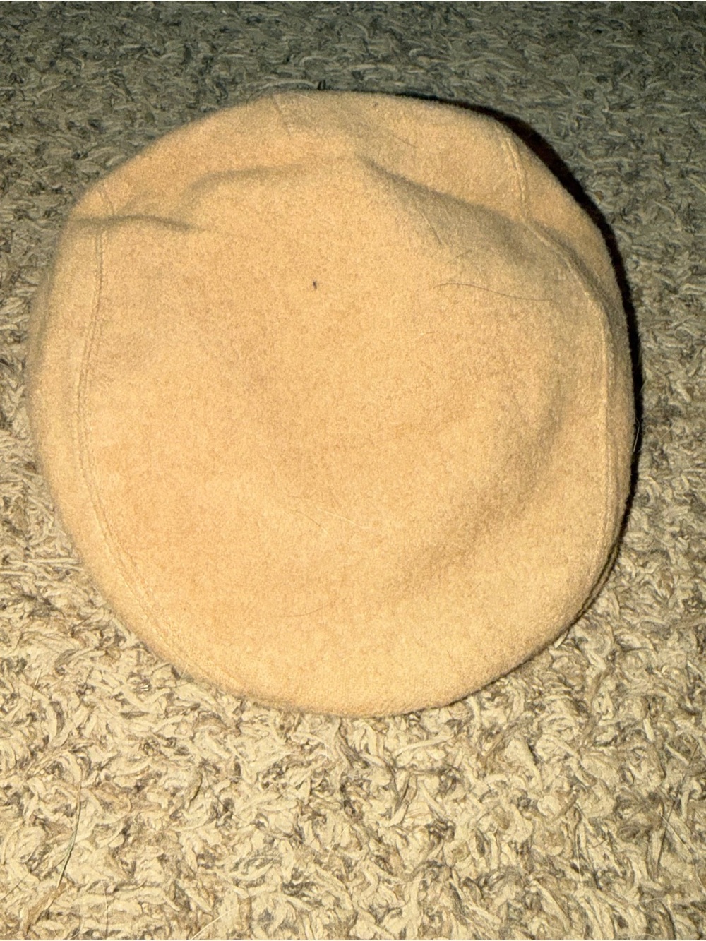 Vintage Country Gentleman 100% Camel Hair Newsboy Cap USA Size 7